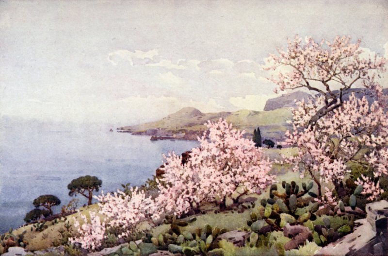 Almond Blossom by Ella Du Cane