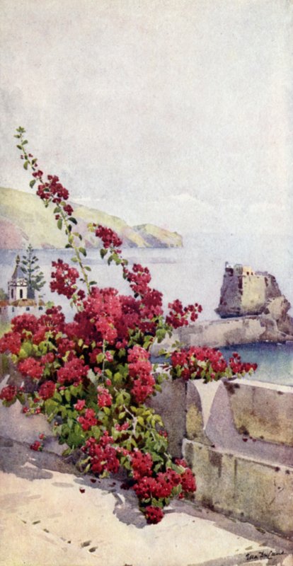 Loo Rock, Funchal by Ella Du Cane