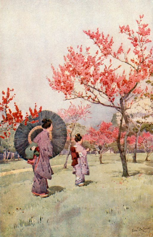 Peach Blossom by Ella Du Cane