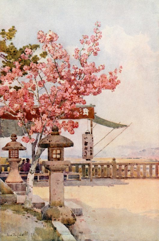 The Pink Cherry by Ella Du Cane