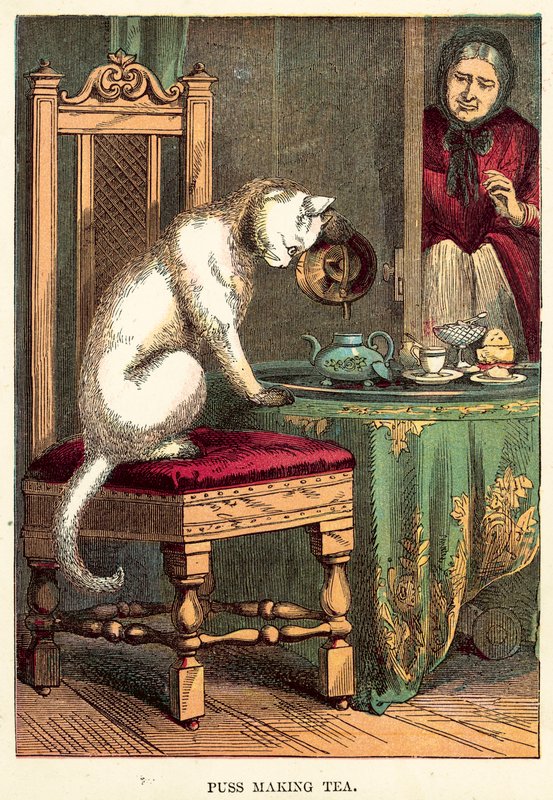 Puss Making Tea by English School