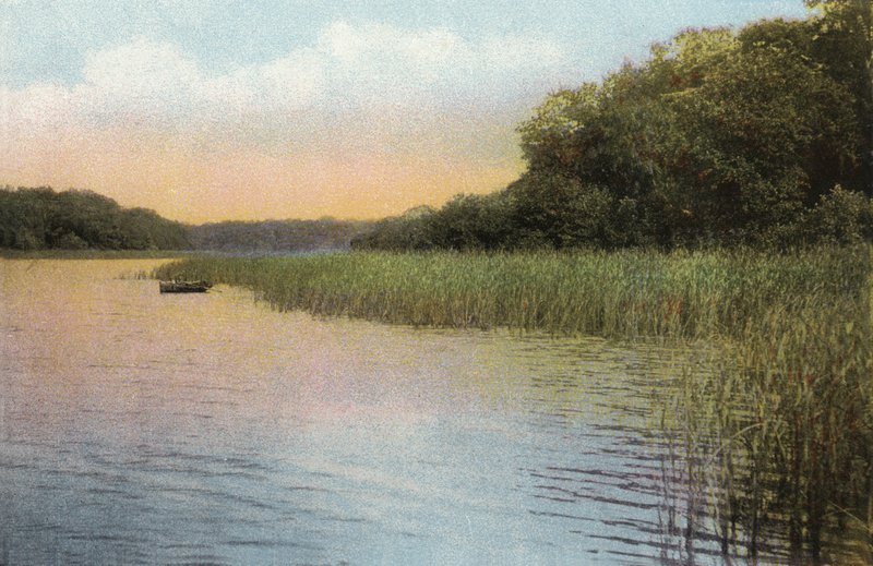 Fritton Lake by English Photographer