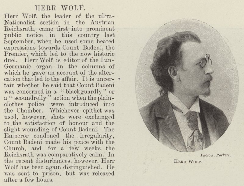 Herr Wolf by English Photographer