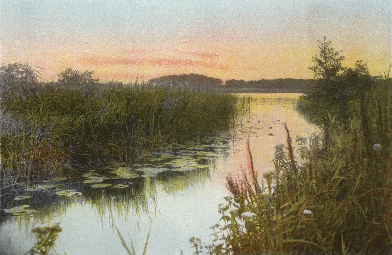Hoveton Broad by English Photographer