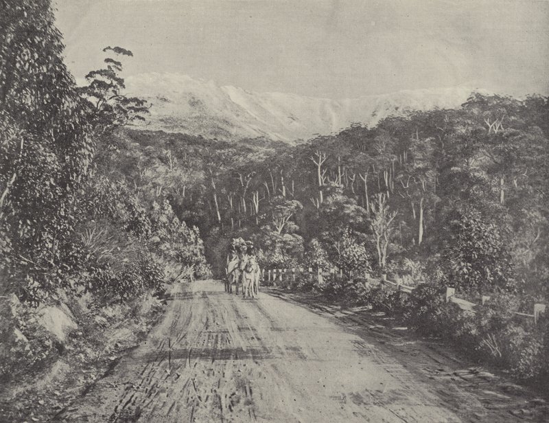 The Huon Road by English Photographer