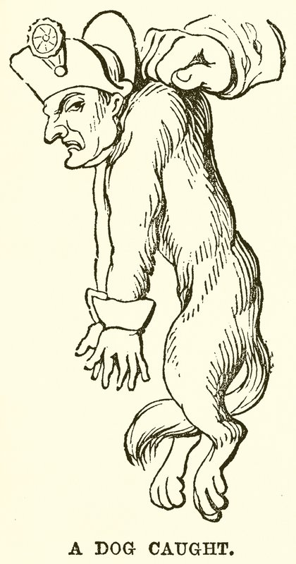 A Dog Caught by English School