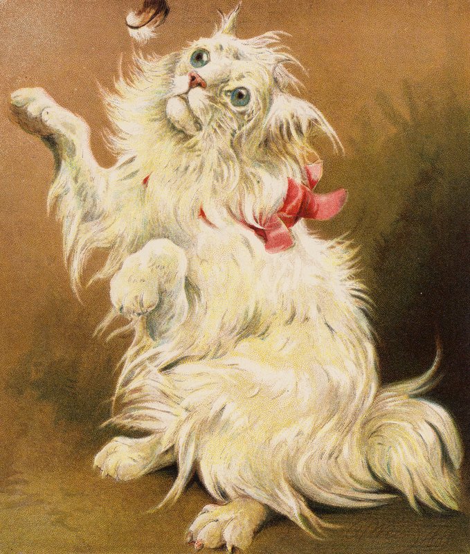 A Persian Pussy by English School