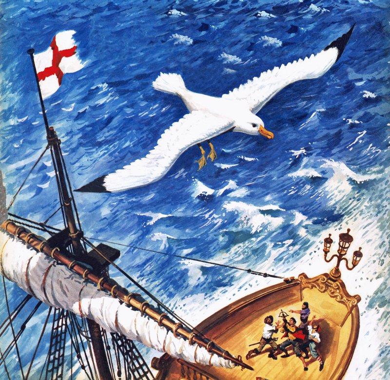 Albatross by English School