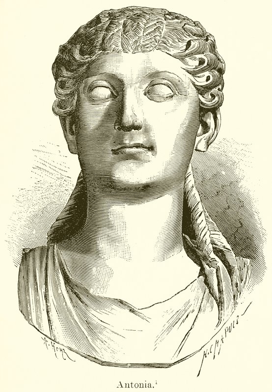 Antonia by English School
