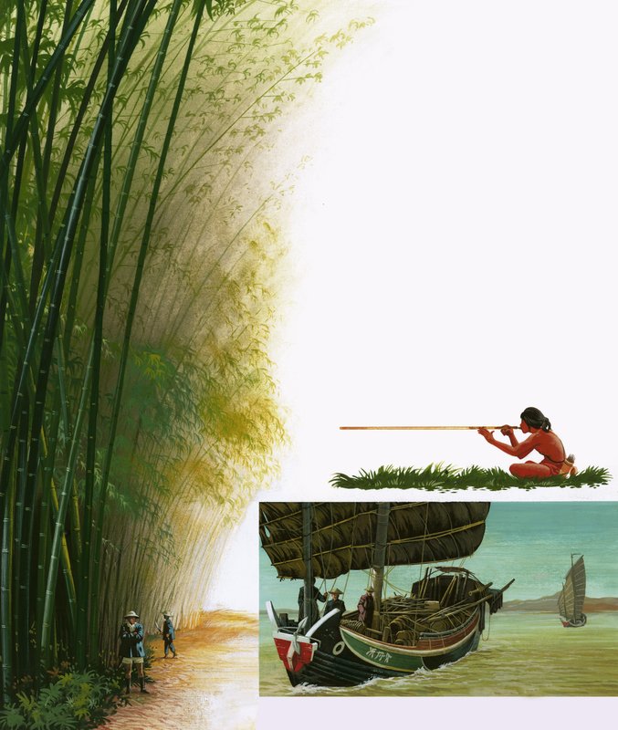 Bamboo by English School