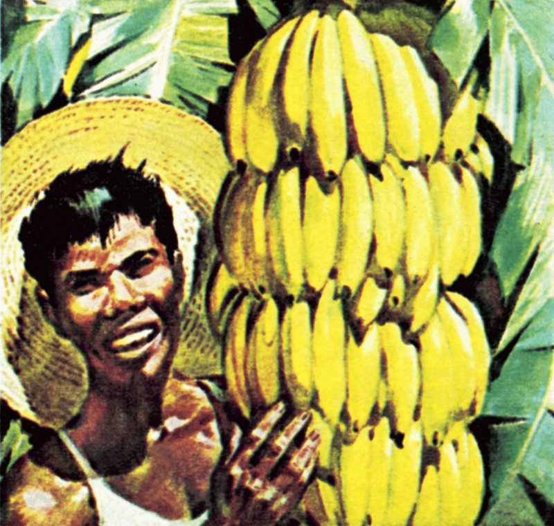 Bananas by English School