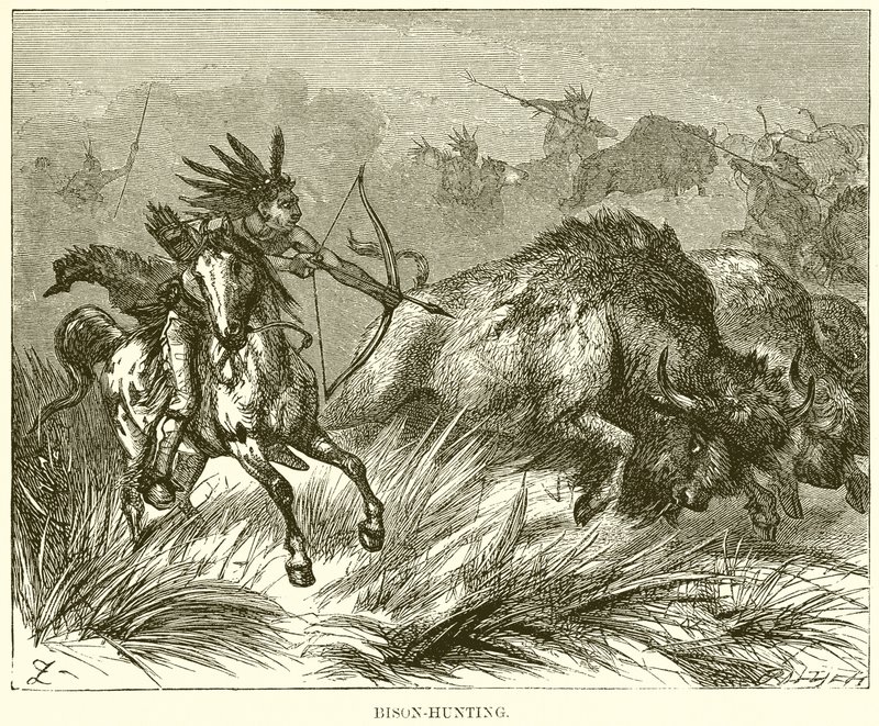 Bison-Hunting by English School