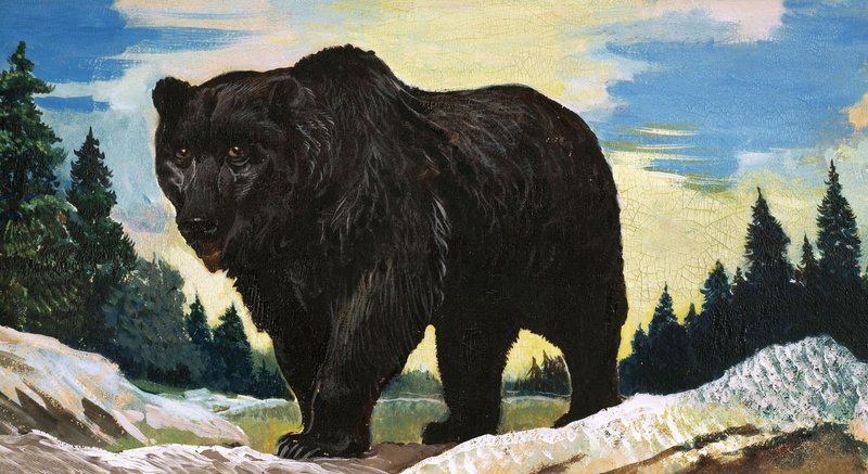 Black Bear by English School