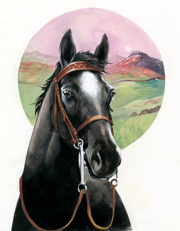 Black Beauty by English School