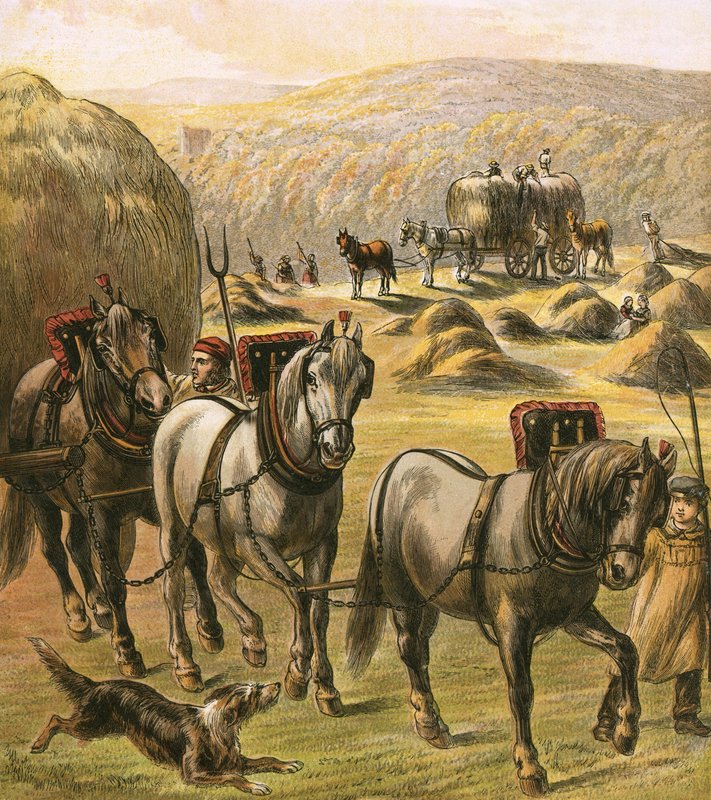 Bringing in the Hay by English School