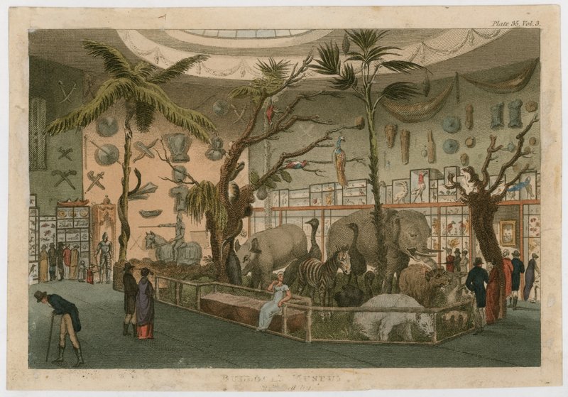 Bullocks Museum by English School