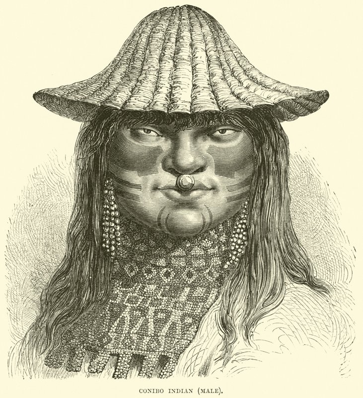 Canibo Indian, male by English School