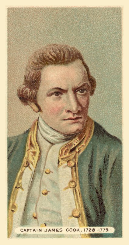 Captain James Cook by English School