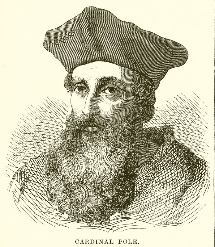 Cardinal Pole by English School