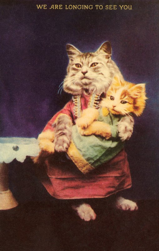 Cat and kitten by English School