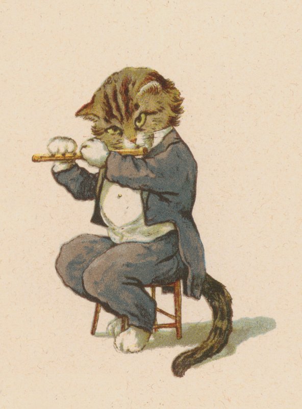 Cat playing flute by English School