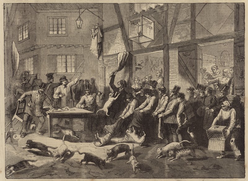 Cat racing at Liege by English School