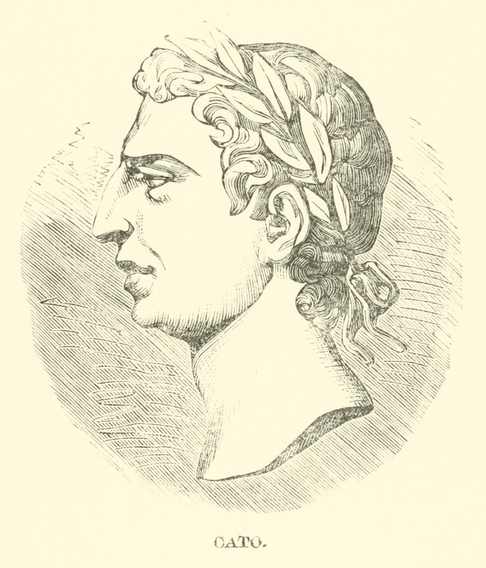 Cato by English School