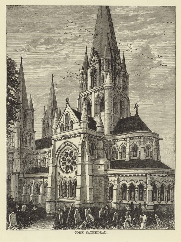Cork Cathedral by English School
