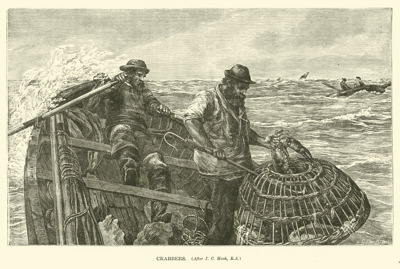 Crabbers by English School