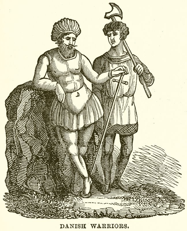 Danish Warriors by English School