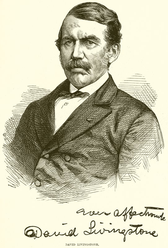 David Livingstone by English School