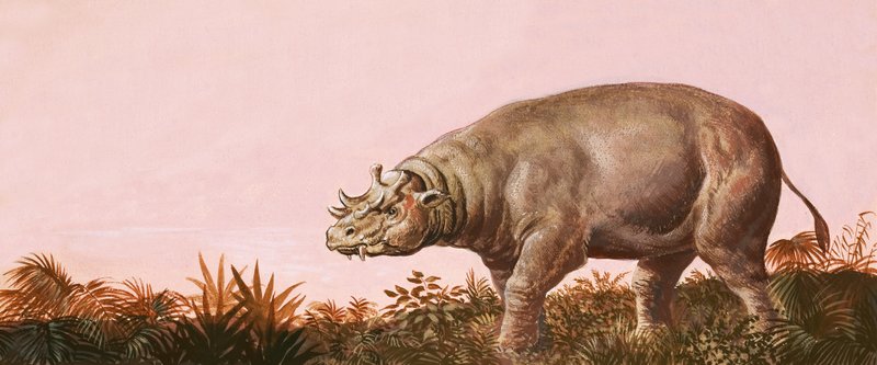 Dinosaur by English School