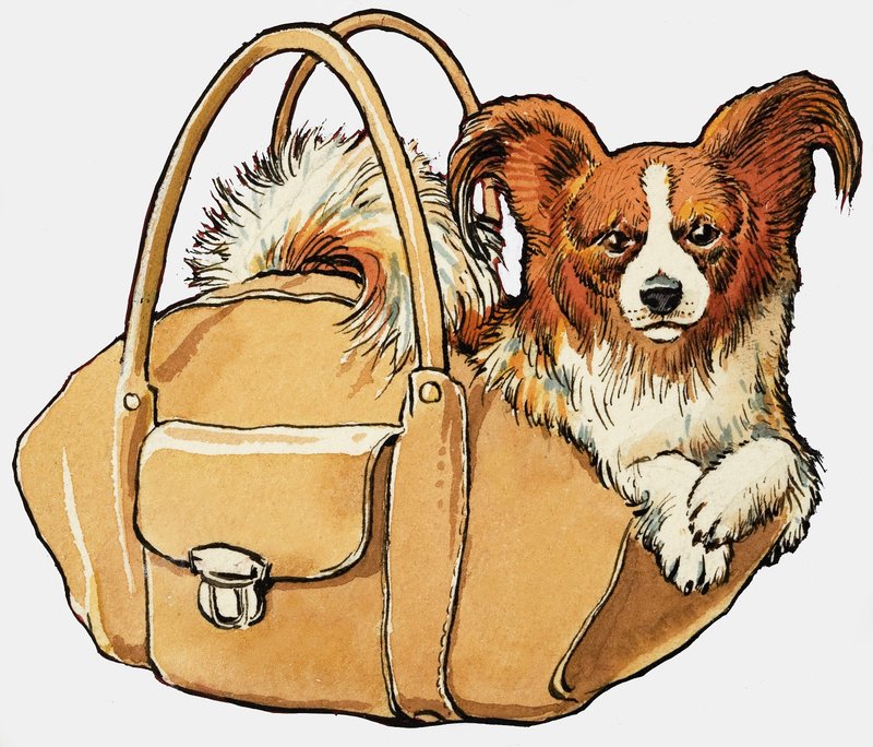 Dog in a handbag by English School