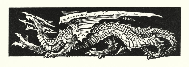 Dragon by English School