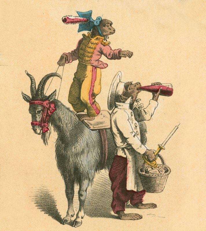 Dressed-up Monkeys by English School