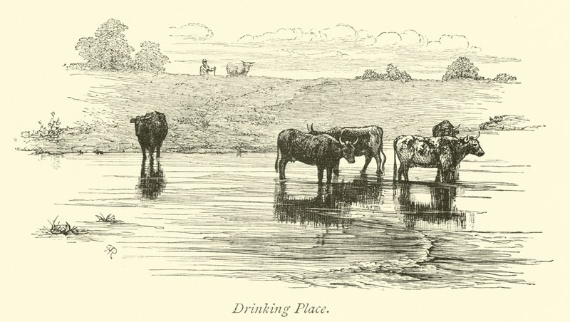 Drinking Place by English School