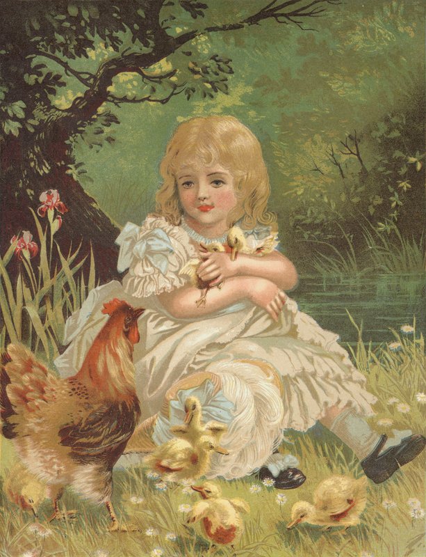 Ducklings by English School