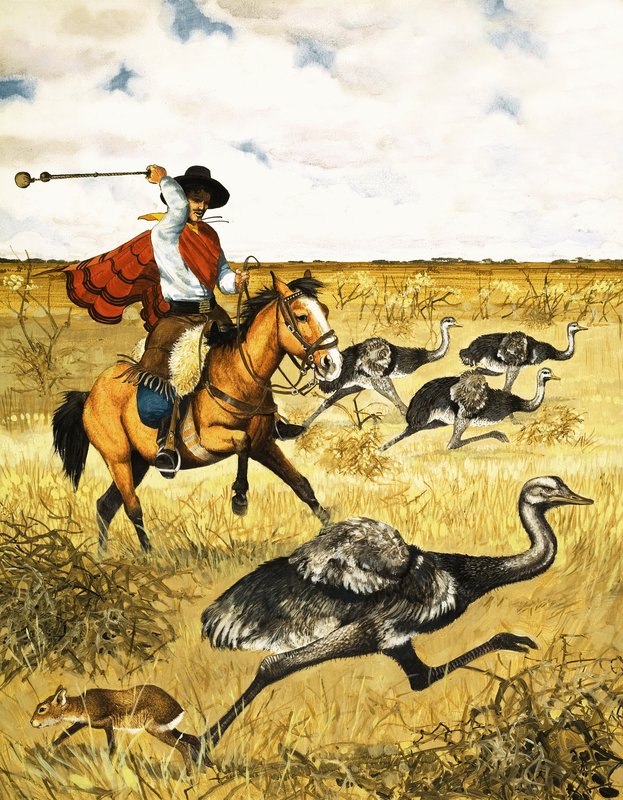 Emu Hunting by English School