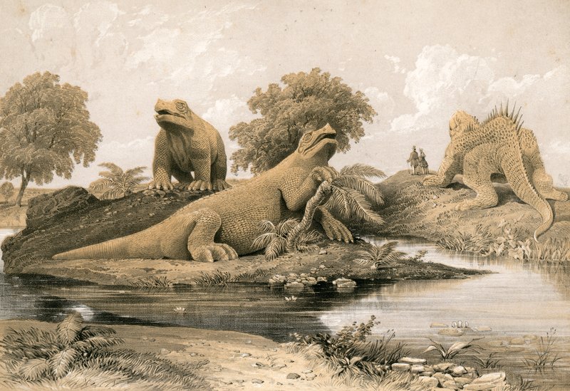 Extinct Animals by English School