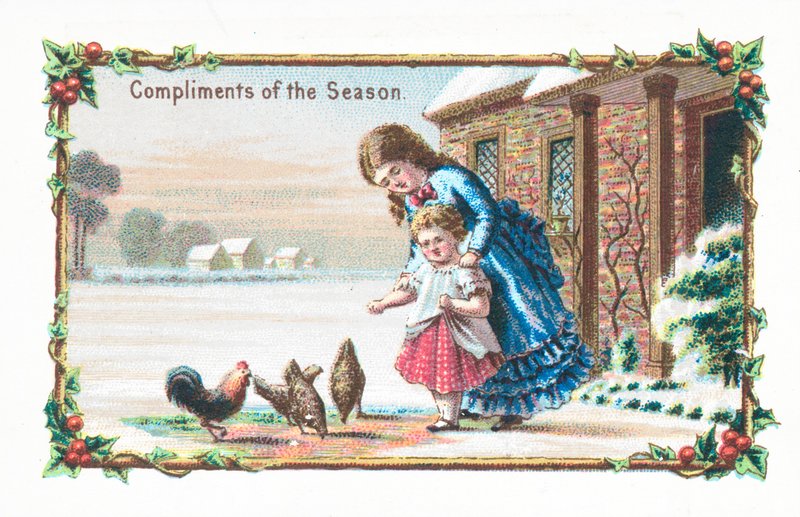 Feeding Chickens by English School