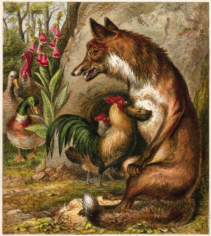 Fox by English School
