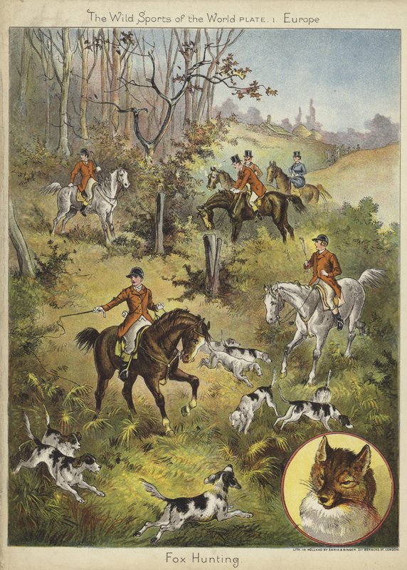Fox Hunting by English School