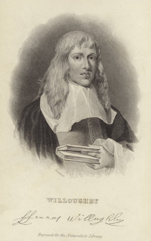 Francis Willughby by English School