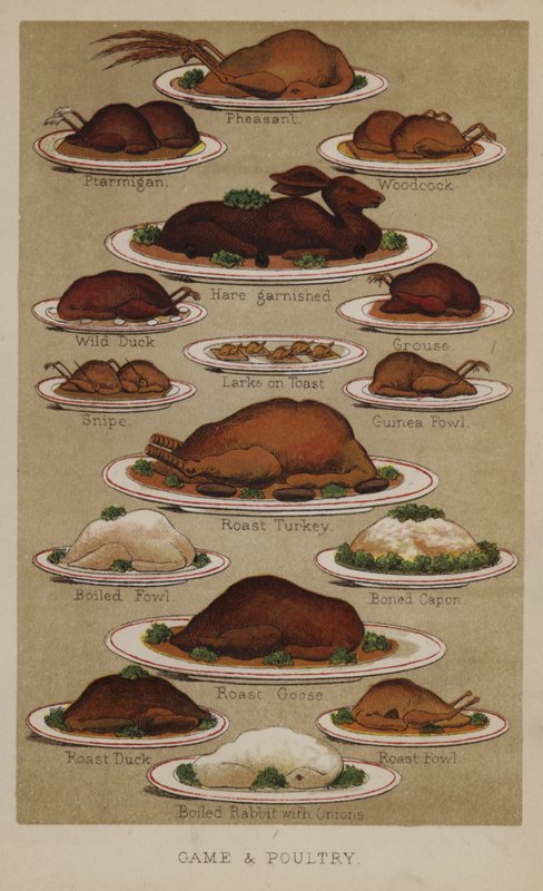 Game and Poultry by English School