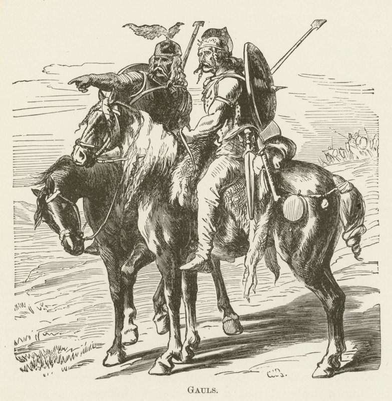 Gauls by English School