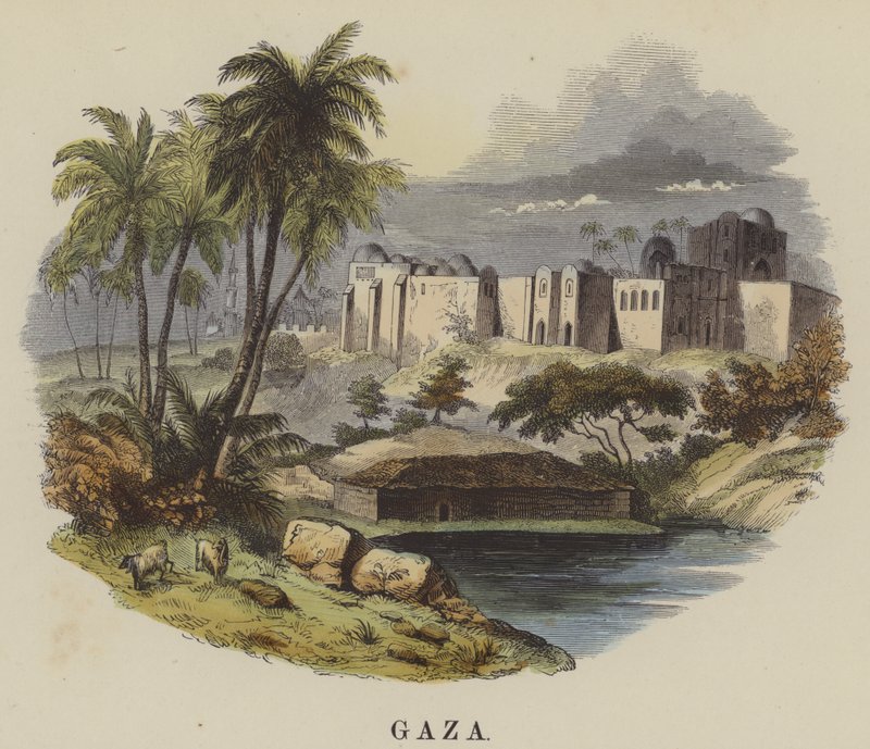 Gaza by English School