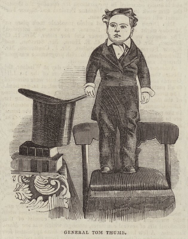 General Tom Thumb by English School
