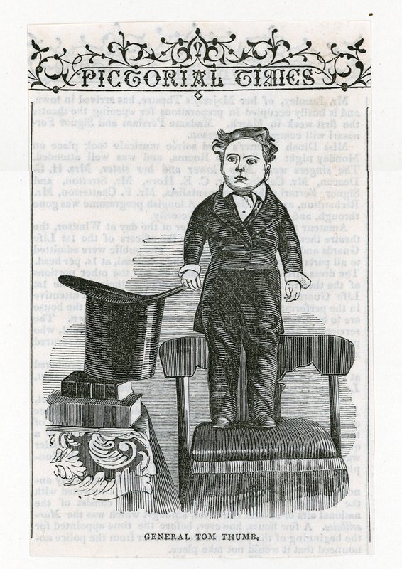 General Tom Thumb by English School