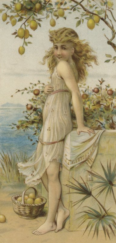 Girl Picking Lemons by English School