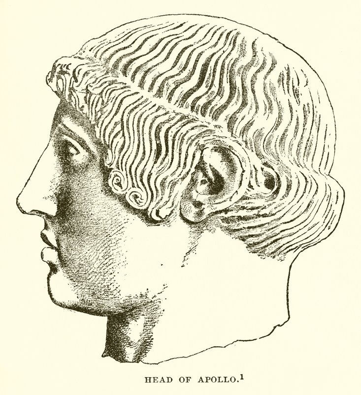 Head of Apollo by English School